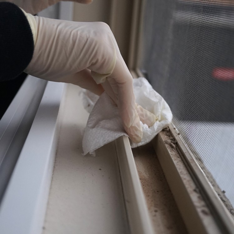 Just another WordPress site Just another WordPress site