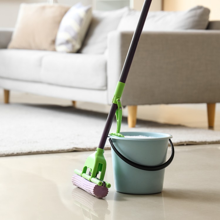 Just another WordPress site Just another WordPress site